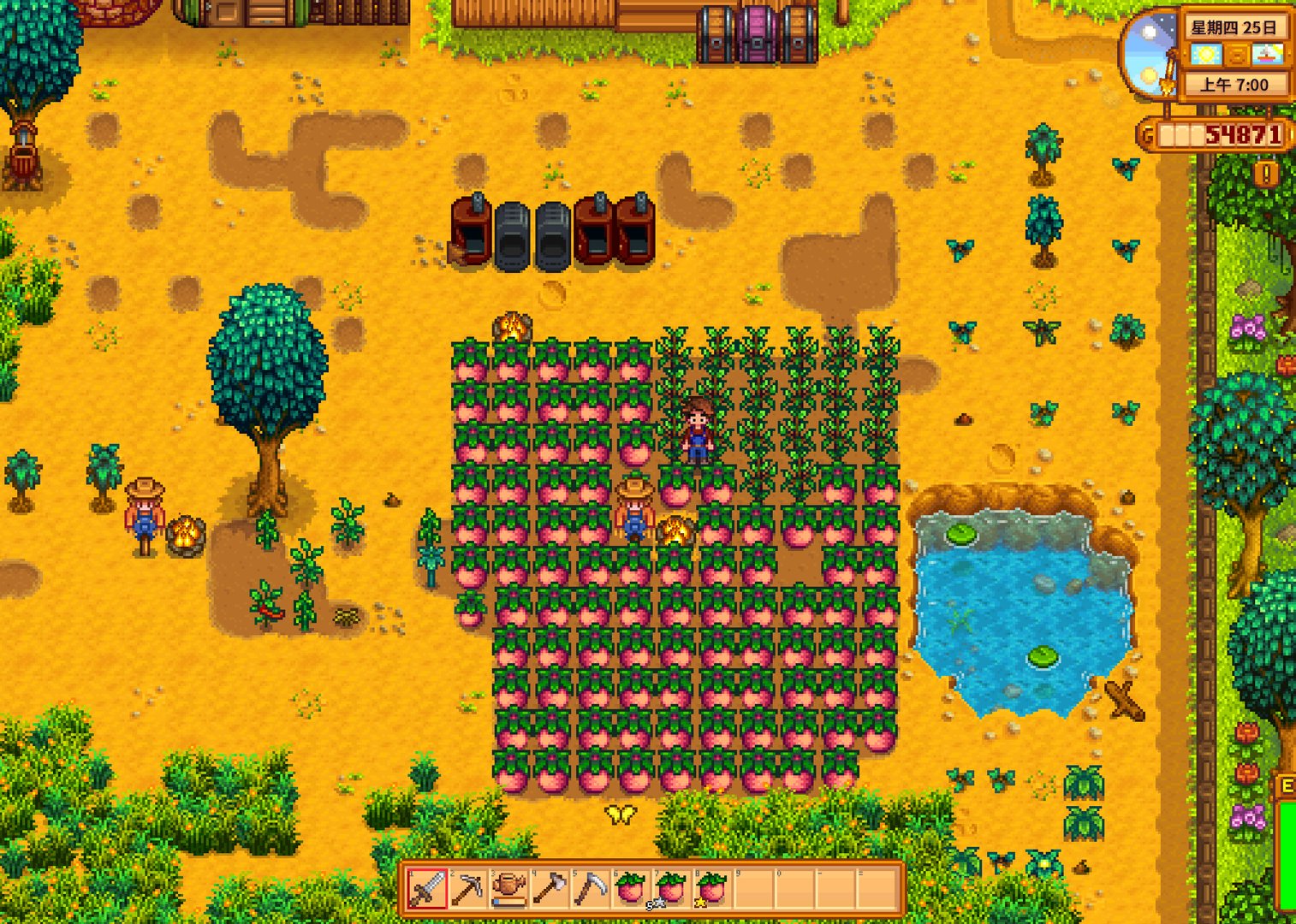 星露谷物语 终极版 截图11